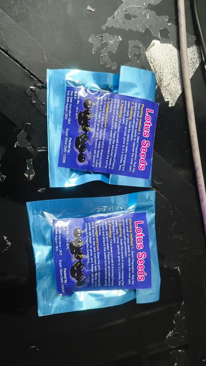 Lotus Seeds (Pack of 20)